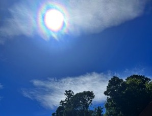 2023年開催の龍神会の様子